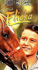 My Friend Flicka VHS, 1991
