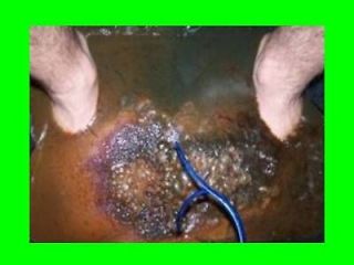 DYNA CHI ION AQUA CLEANSE DETOX MACHINE™ * Ionic Foot Bath Spa