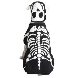 Casual Canine Glow Bones Halloween Costumes for Dogs Clearance