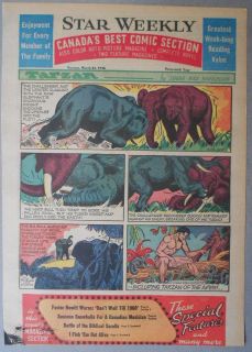 Tarzan Sunday by John Celardo from 3/25/1956. Tabloid Size Page 