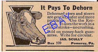 1922 scully keystone cattle cow dehorner ad pomeroy pa returns