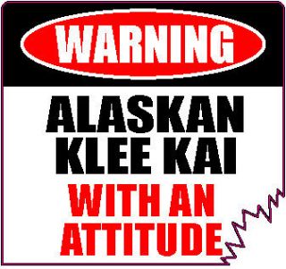 WARNING ALASKAN KLEE KAI WITH ATTITUDE 4 DIE CUT TATTERED EDGE UNIQUE 