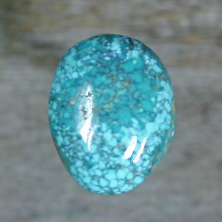 lander turquoise in Jewelry & Watches
