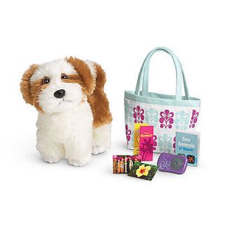 American Girl Kanani Meet Accessories New in box with Dog Retired