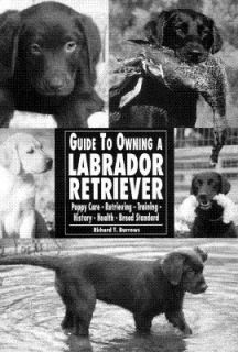 Guide to Owning a Labrador Retriever AKC Rank 1 by Richard T. Burrows 