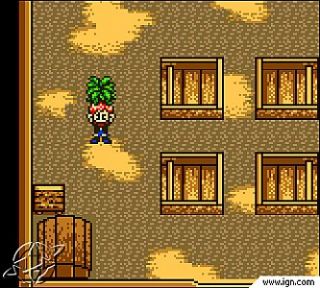 Harvest Moon GBC 2 Nintendo Game Boy Color, 2000