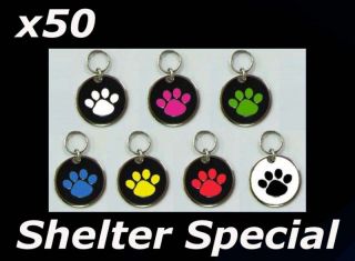 shelter stainless pet id tag dog cat rescue bulk lot