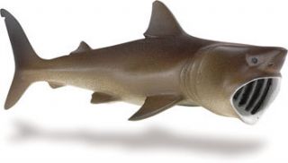basking shark ships free w $ 25 safari 223429 time
