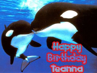 KILLER WHALE and BABY Orca Edible Photo CAKE Image Icing Topper