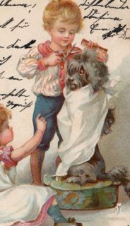   postcard Children girl & boy cutting dog s hair Poodle Lowchen Hunde