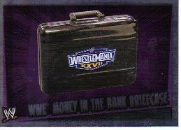 wwe money in the bank briefcase in Sports
