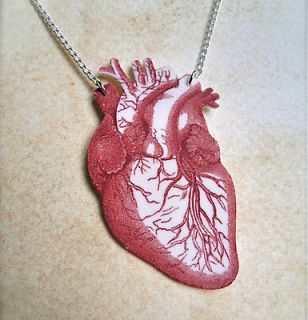 Large Anatomical Human Heart Charm Necklace Science Goth Burlesque 