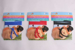guinea pig harness and lead set one size three cols