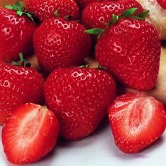 Strawberry Plants   Organic / 10 Earliglow / ORDER NOW for SPRING 