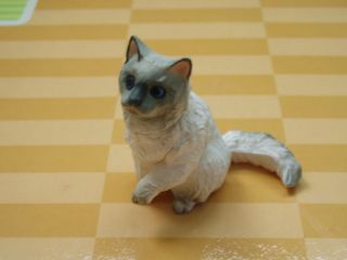 Furuta Choco Q Pets figure #10  Ragdoll cat Grey Kitten Kaiyodo