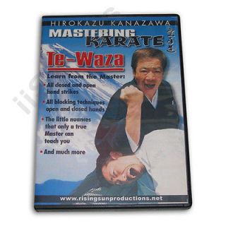   Karate Te Waza Hand Techniques H Kanazawa DVD #RS163 SKIF shotokan NEW