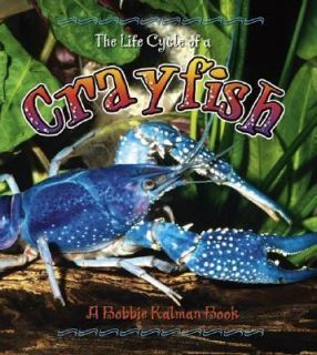 The Life Cycle of a Crayfish by Rebecca Sjonger and Bobbie Kalman 