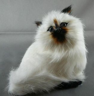 realistic soft himalayan cat fur kitty kitten new one day