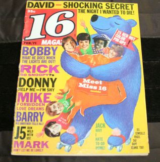 16 MAGAZINE~1971~David Cassidy~Donny Osmond~Sherman~Jackson 5~Brady 