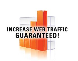   REAL Visitors to your WebSite by our marketing team. Web advertising
