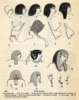 1854 Woodcut Ancient Egyptian Gold Beard Wigs Royal Headdress 