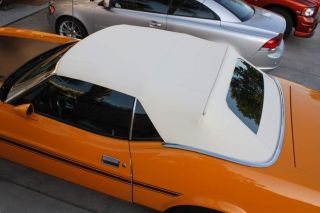   pattern white top glass window on their 73 mustang when you order