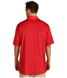   ® Two Color Stripe Polo 13    BOTH Ways