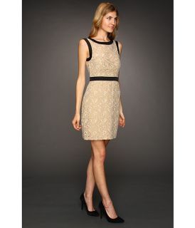 Max and Cleo Maddy Scalloped Lace Dress   Zappos Free Shipping 