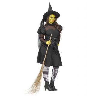 ms wicked costume adult plus