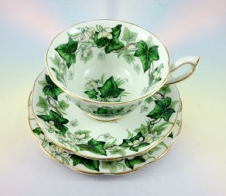 and Cup, Plate 1/4 Set cup Saucer Ivy Tro rack Tea vintage Albert  Lea saucer Royal and 6