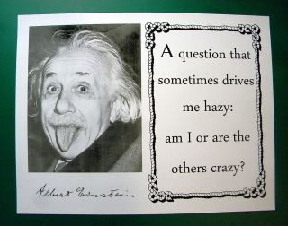Albert Einstein Crazy Quote Reprint Display Sheet 2