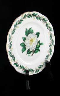 Royal Albert Lady Clare Bone China Bread Butter Plate