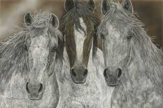 Judy Larson The Misfits Giclee Canvas Horses 200 200