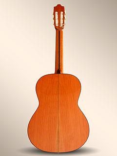   indian rosewood back and sides alhambra 7fc flamenco guitar front