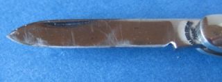 Vintage American Cutlery Company Made USA Pocket Knife 3 Long Stag 