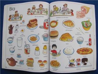 Childrens Irish Picture Dictionary Buntus Foclora Over 1000 Words 