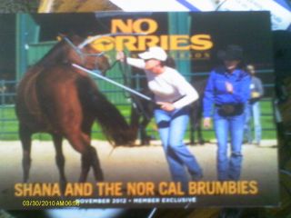   Anderson DVD Shana and The Nor Cal Brumbies Clinic Great DVD