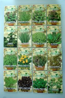 Herb Seeds Fresh Top Quality Many Varietes to Choose from Caper Anise 
