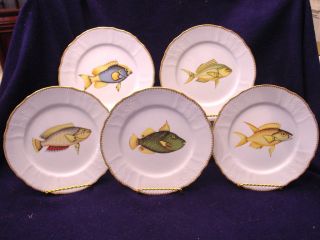 Anna Weatherley Set of 8 Antique Fish Dinner Plates Brand New $318 
