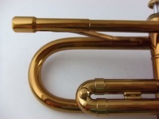 Check my  store for Trumpet Safe Bags and more Taylor trumpets.