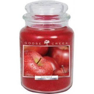New 26oz GOOSE Creek Juicy Apple Jar Candle