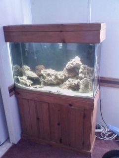 45 gallon Aquarium Oak Stand Canopy LED light fluval 205 filter