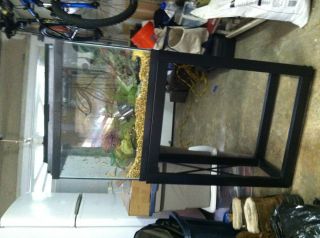 20 gallon fish tank, aquarium, decor, filter, plants, air pump