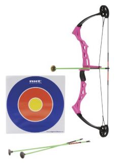 NEW Nxt Generation Girls Compound Bow with 3 Arrows and Target