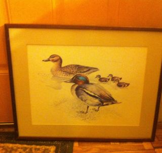   Duck Stream by Ronald Beavan Litho Print by Arthur A Kaplan Co