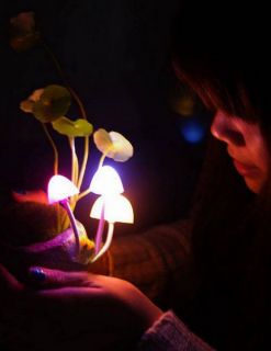 Avatar Effect Mushroom Lamp Resin Night Light Romantic Gift