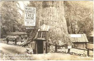 PC1147 Postcard World Famous Tree House MOBSC RPPC