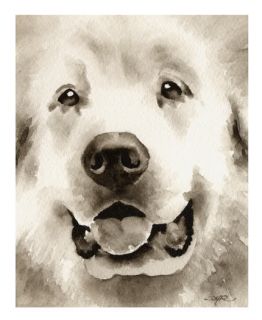 Great Pyrenees Watercolor Dog Art Signed by Artist DJR