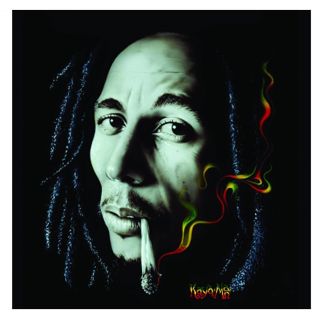 Signature Collection Bob Marley Rasta Smoke Raschel Plush Mink Blanket 