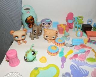   Littlest Pet Shop Polly Pocket Play Set Accessories Pets Barbie